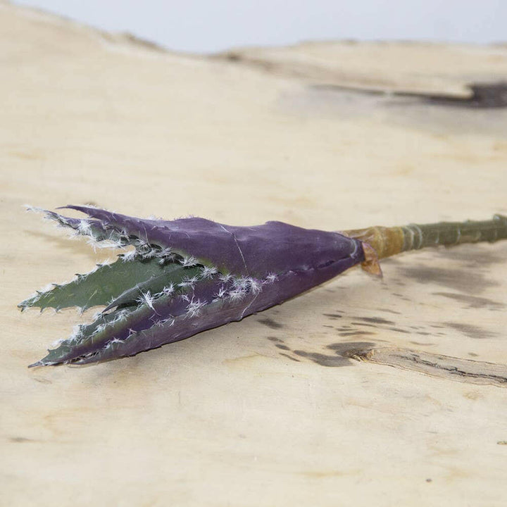 Imitation Fake Faux Succulents | Artisans.