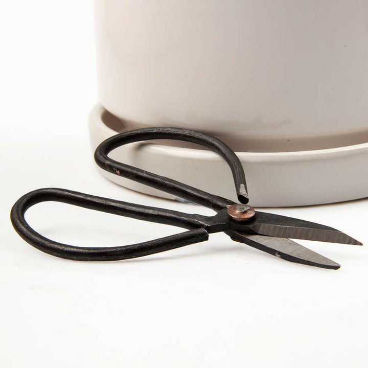 Edward Plant Clippers/ Accessories | Artisans.