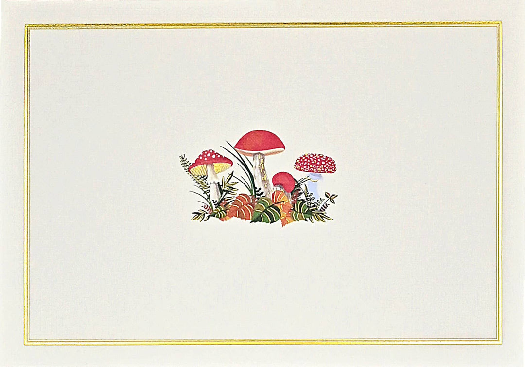 Pauper Press Boxed Notecards