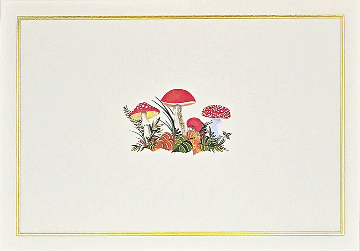 Pauper Press Boxed Notecards