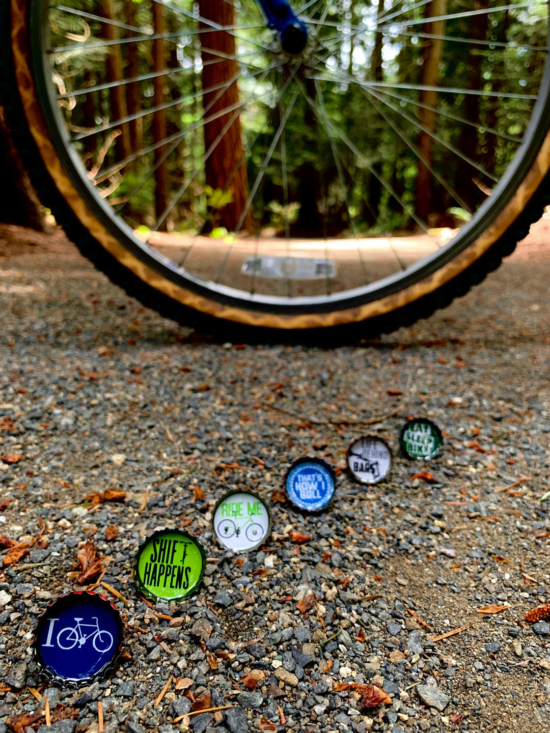 Bike Magnets
