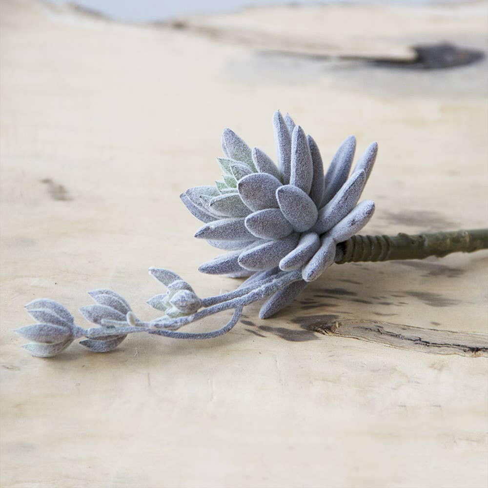 Imitation Fake Faux Succulents | Artisans.