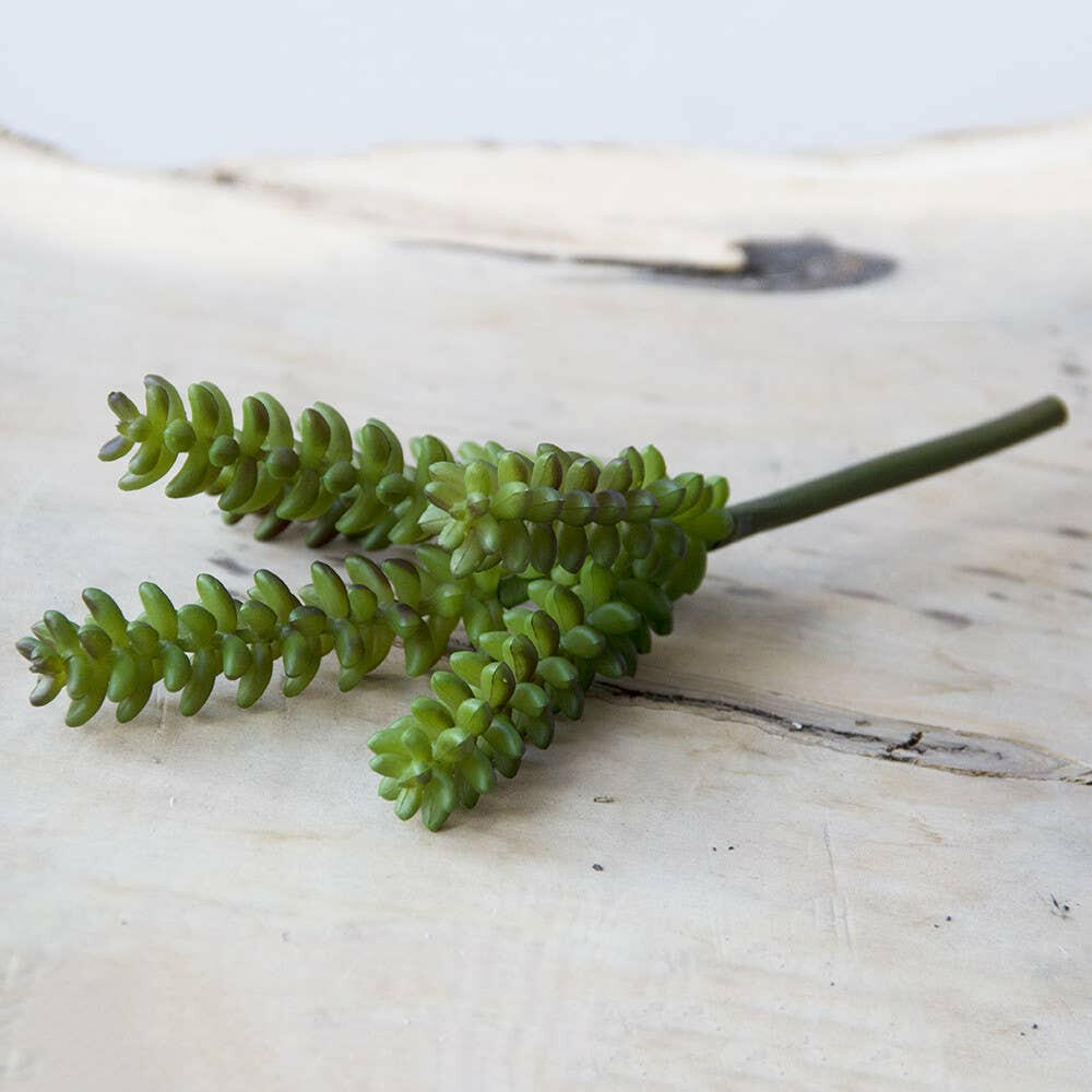 Imitation Fake Faux Succulents | Artisans.