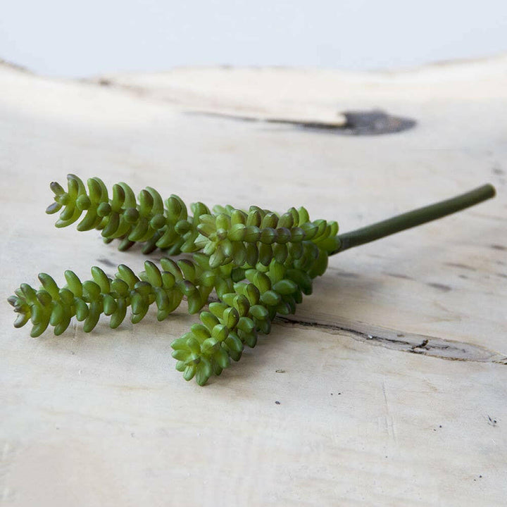 Imitation Fake Faux Succulents | Artisans.