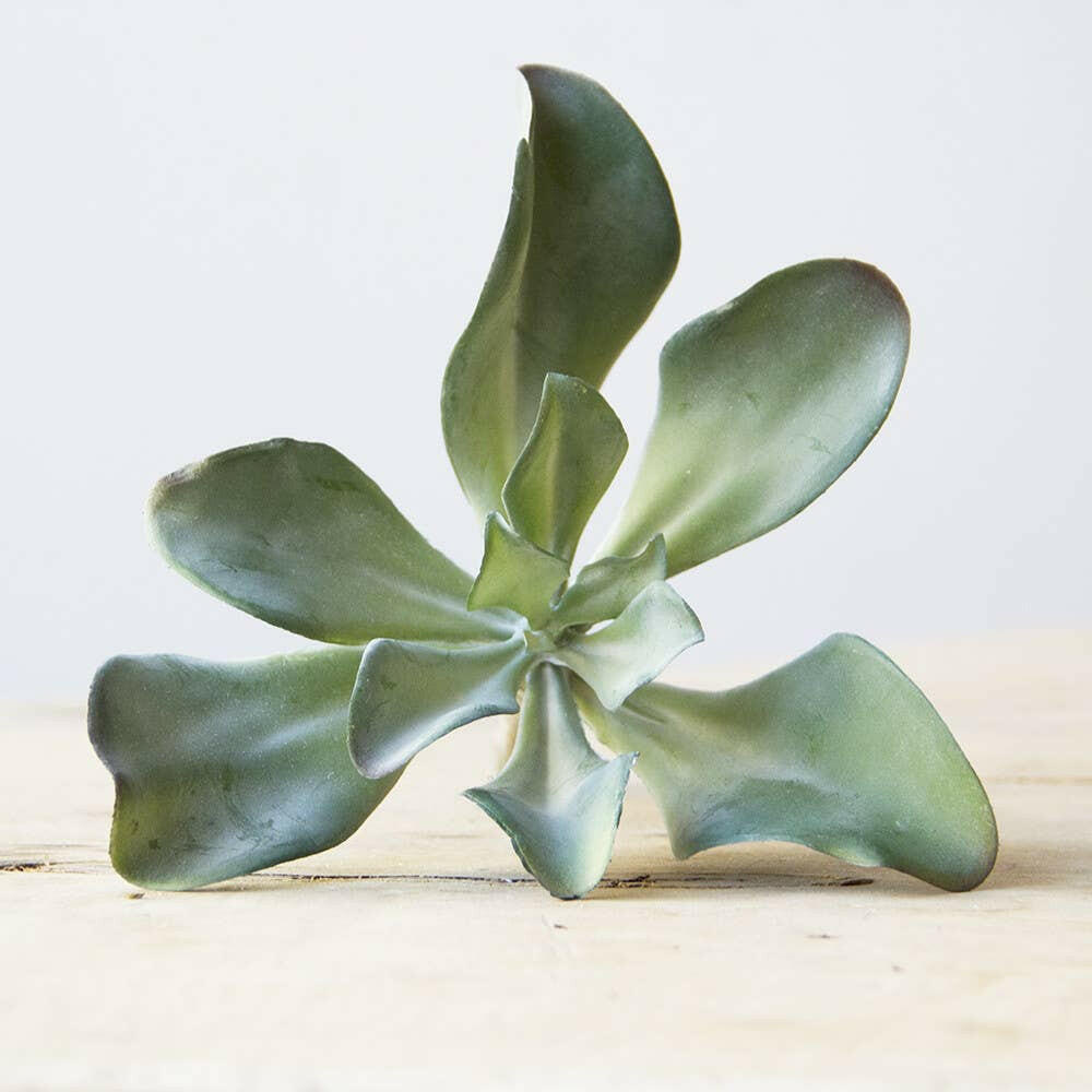 Imitation Fake Faux Succulents | Artisans.
