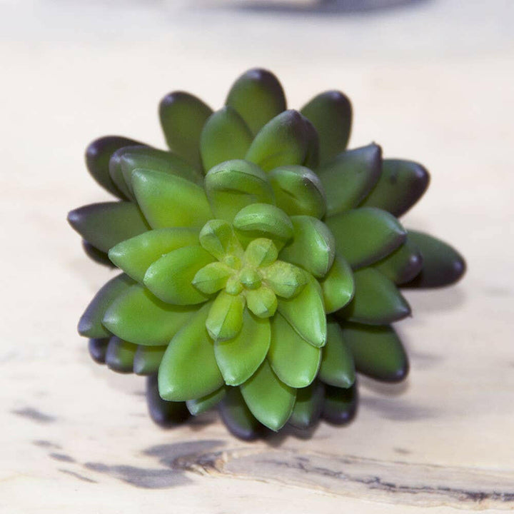 Imitation Fake Faux Succulents | Artisans.