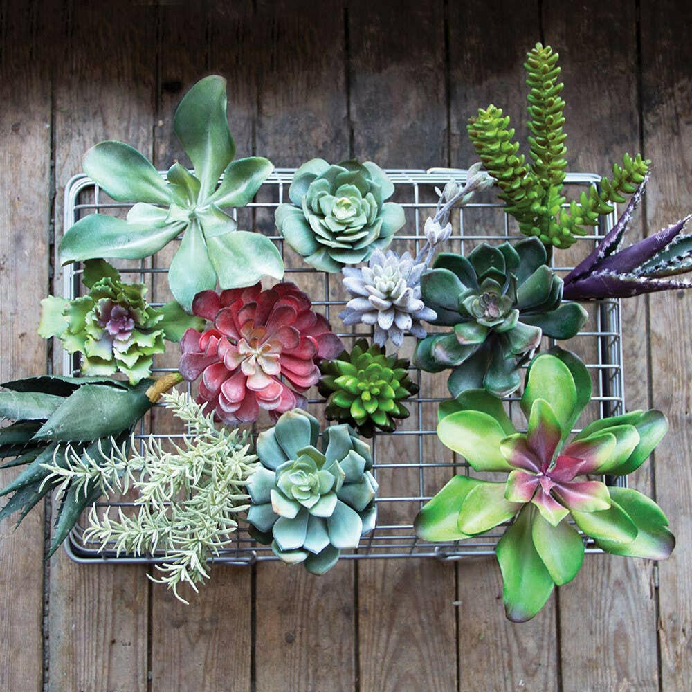 Imitation Fake Faux Succulents | Artisans.