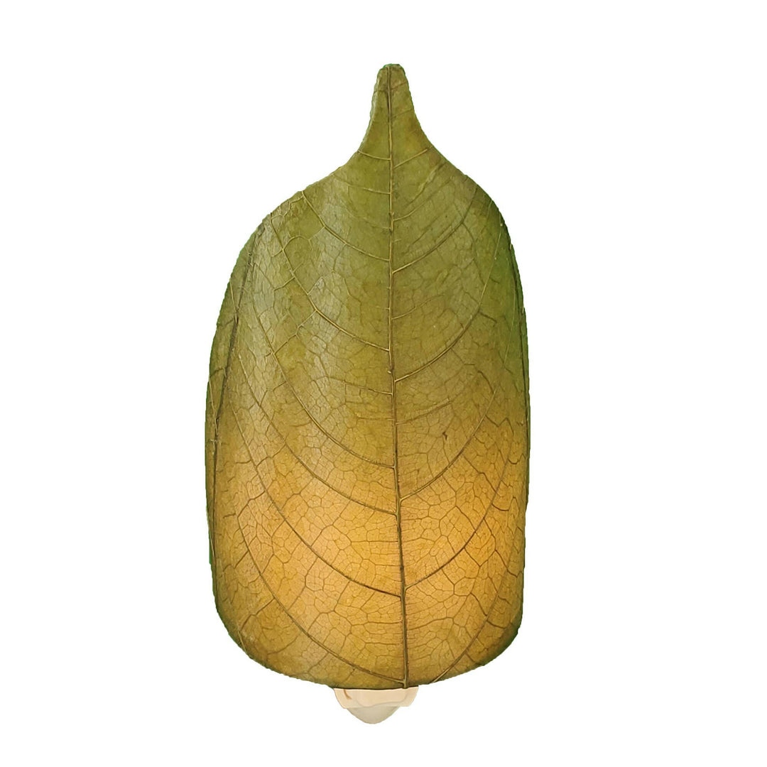Leaf Night Light Green | Artisans.