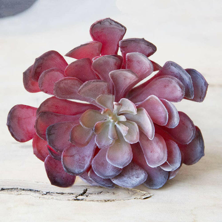 Imitation Fake Faux Succulents | Artisans.