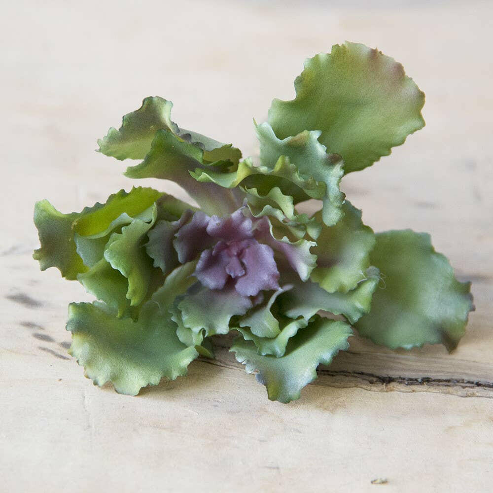 Imitation Fake Faux Succulents | Artisans.