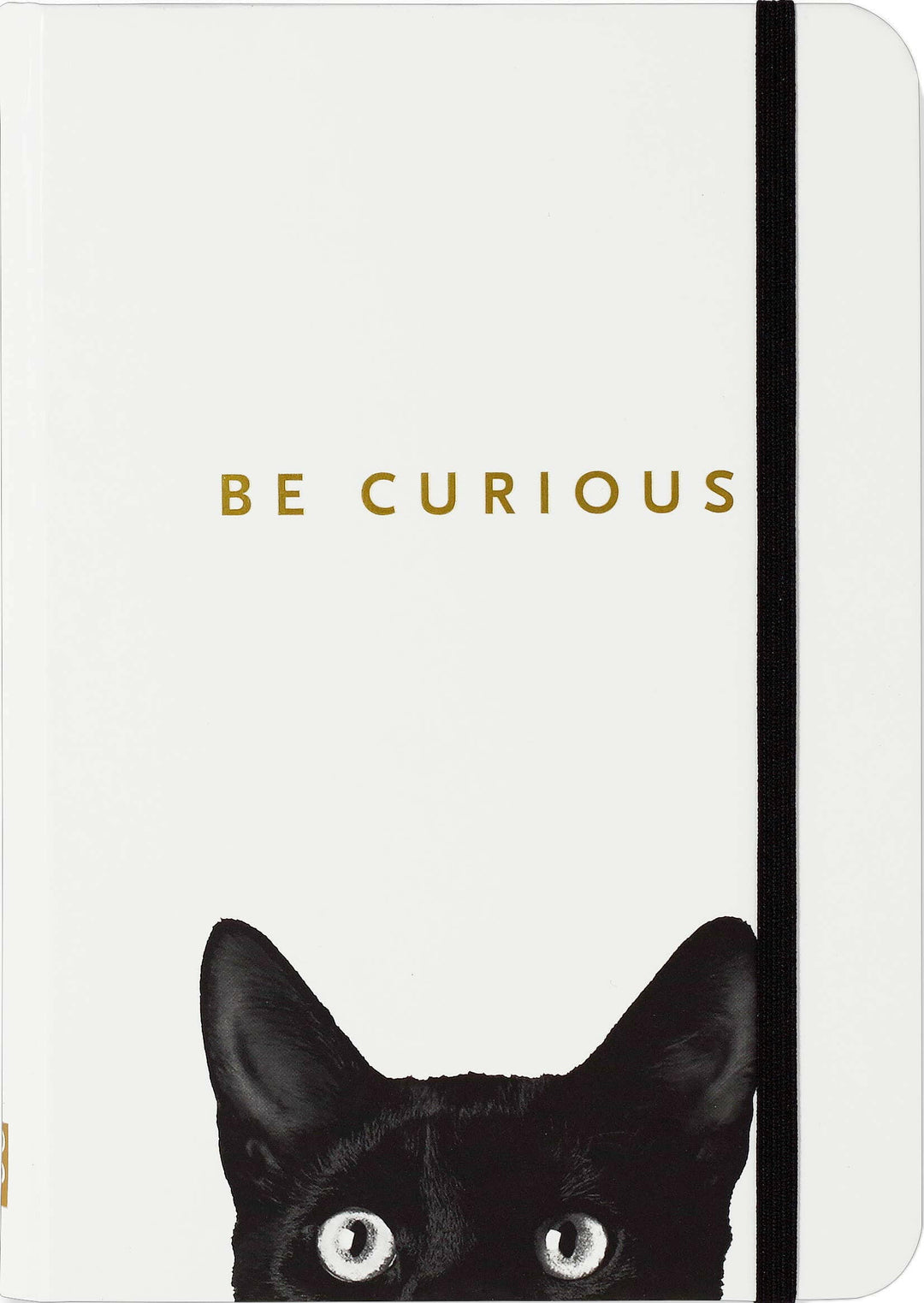 Curious Cat Journal | Artisans.