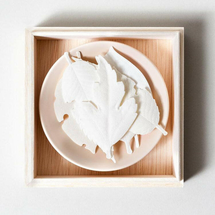 Decorative wall art with white feather-like shapes on a wooden base
