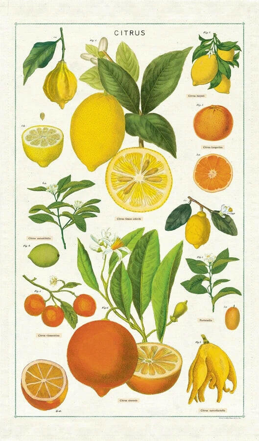 Cavallini Tea Towel