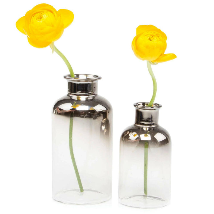 Aptar Glass Bud Vase | Artisans.