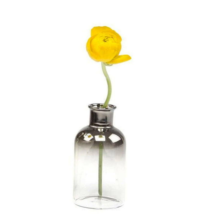 Aptar Glass Bud Vase | Artisans.