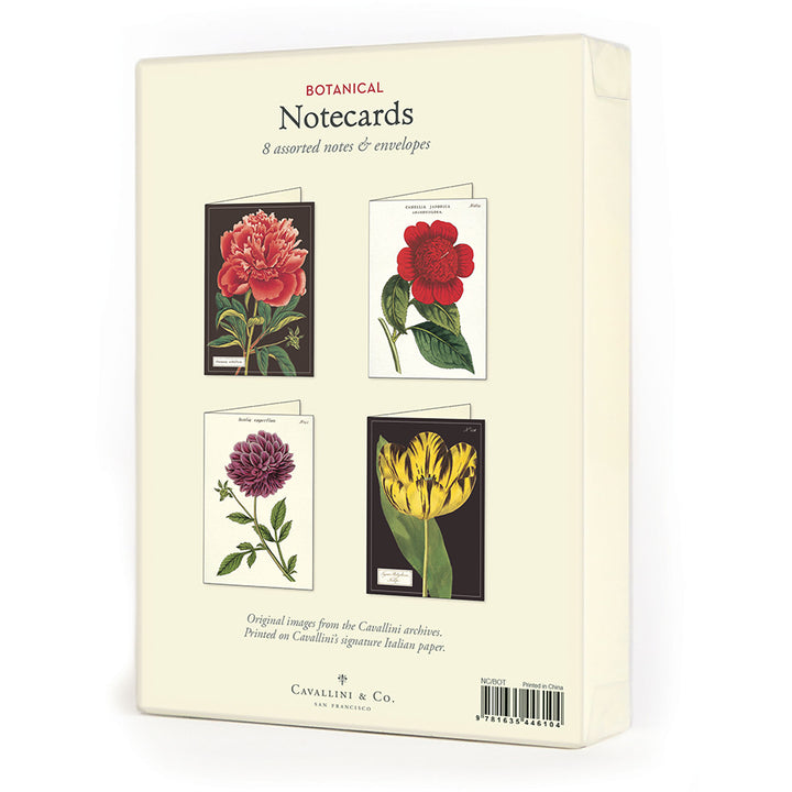 Cavallini Boxed Note Cards
