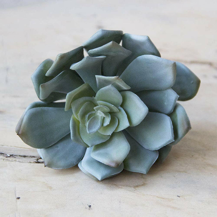 Imitation Fake Faux Succulents | Artisans.
