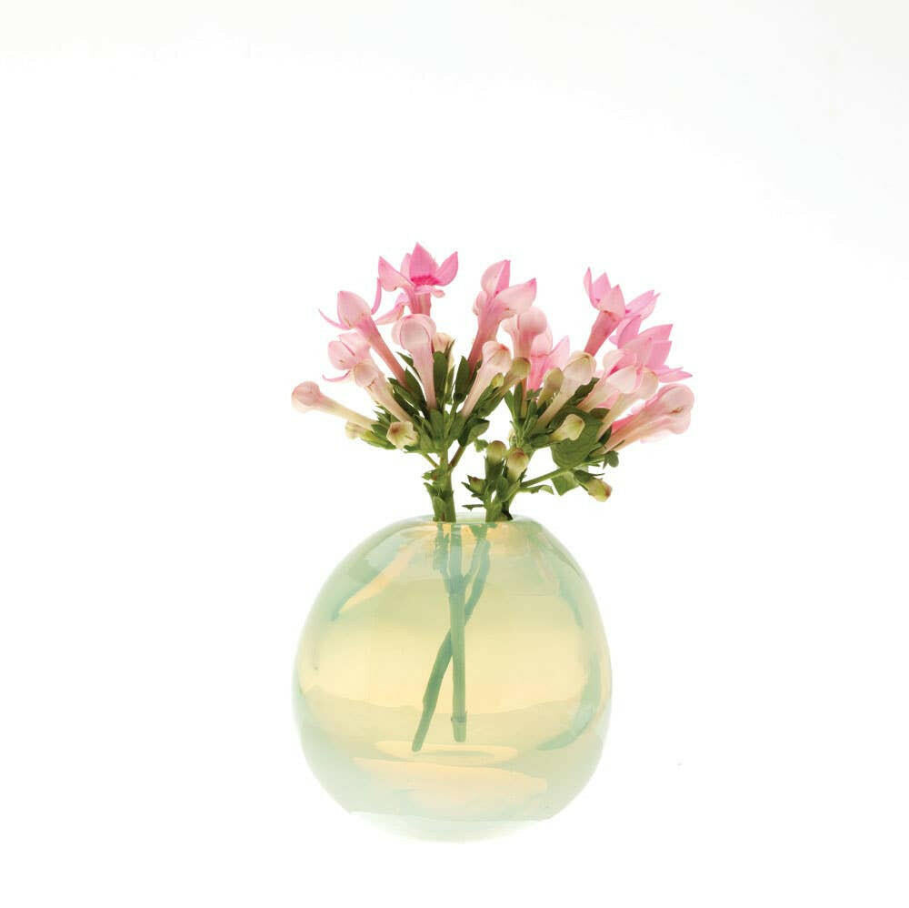 Pearl Glass Vase | Artisans.