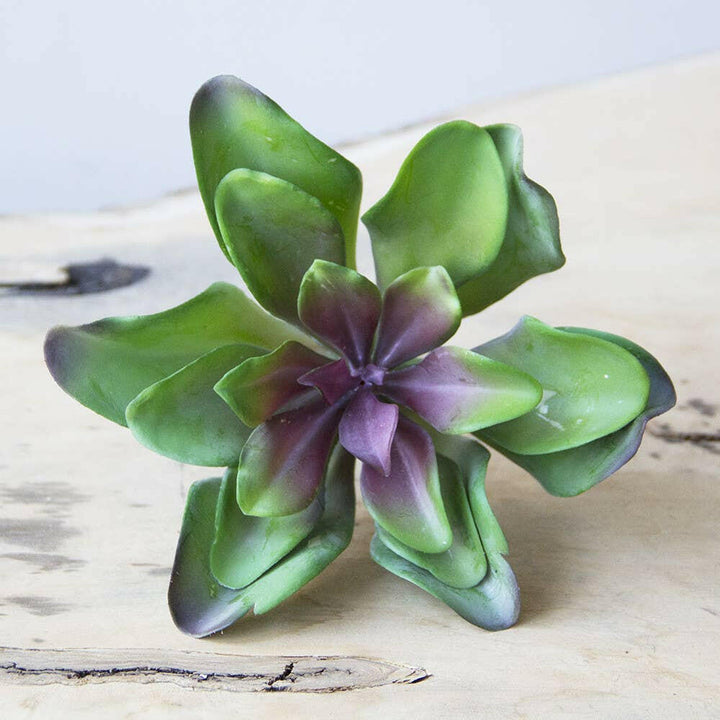 Imitation Fake Faux Succulents | Artisans.