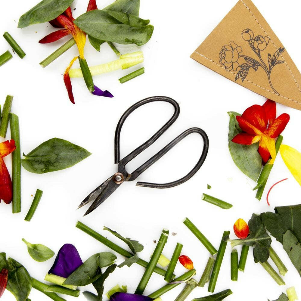 Edward Plant Clippers/ Accessories | Artisans.