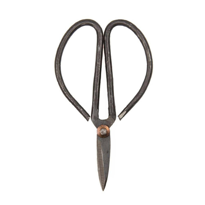 Edward Plant Clippers/ Accessories | Artisans.