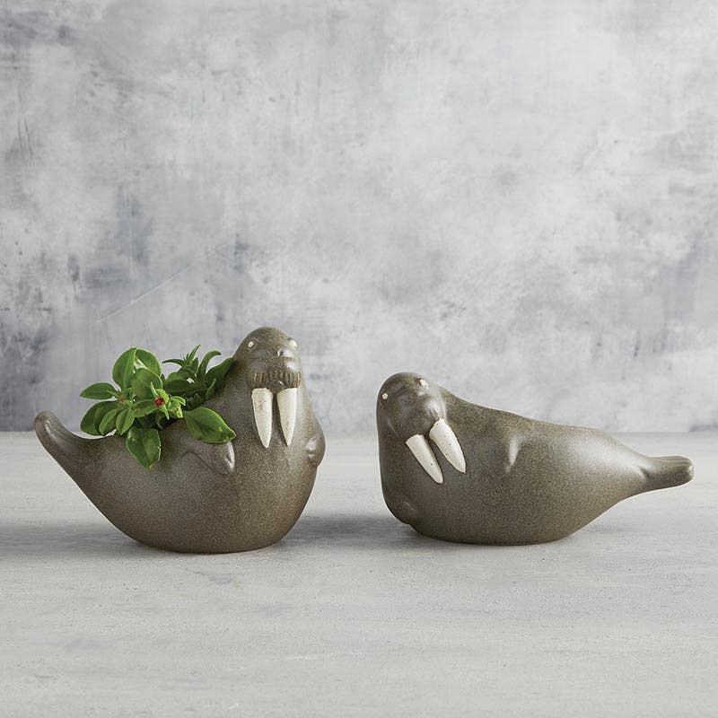 Walrus Small Planter