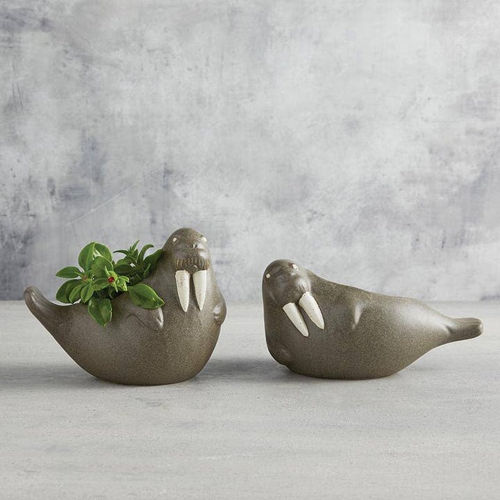 Walrus Small Planter