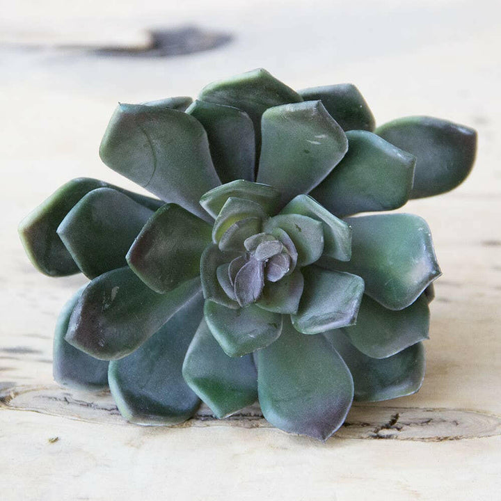 Imitation Fake Faux Succulents | Artisans.