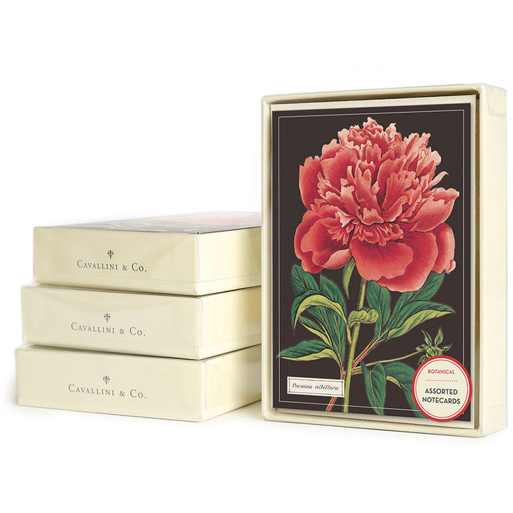 Cavallini Boxed Note Cards