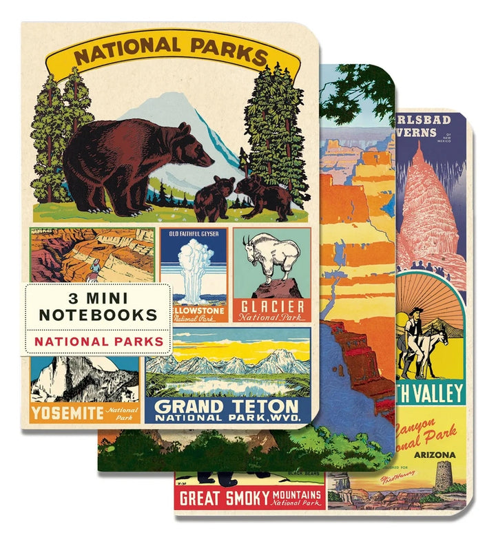 Cavallini Mini Notebooks 3-pack