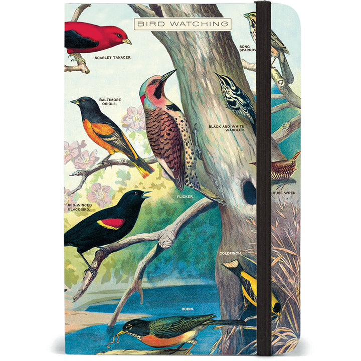 Cavallini Small Notebook with Elastic Closure