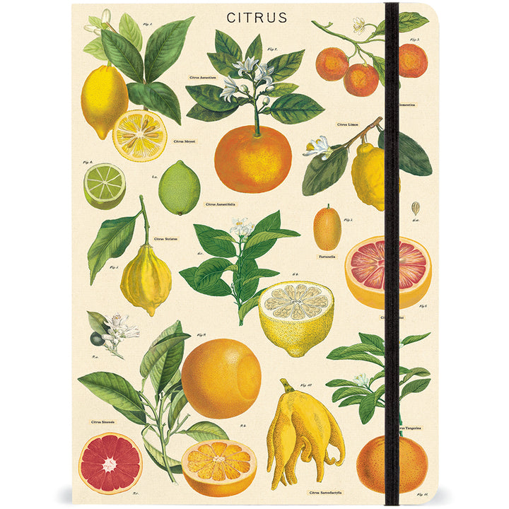 Cavallini Large Notebook with Elastic Closure