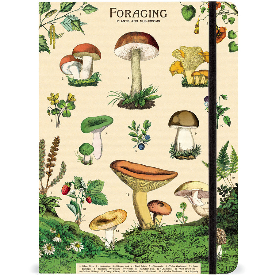Cavallini Large Notebook with Elastic Closure