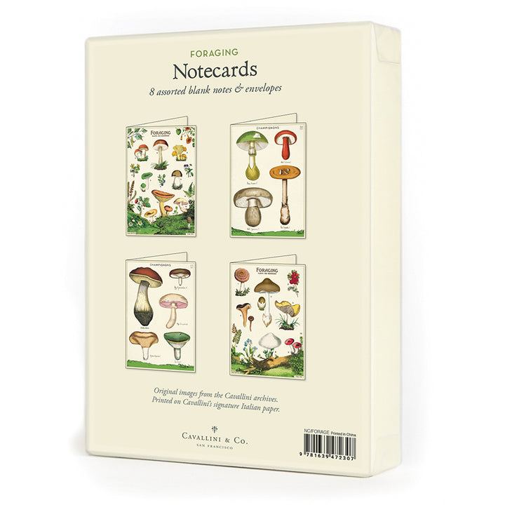 Cavallini Boxed Note Cards