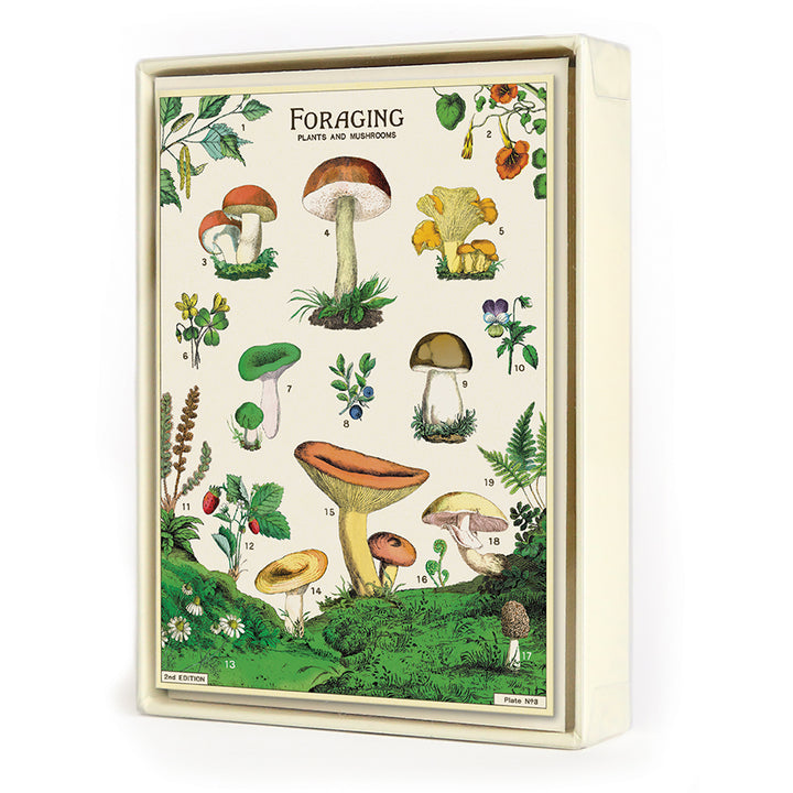 Cavallini Boxed Note Cards