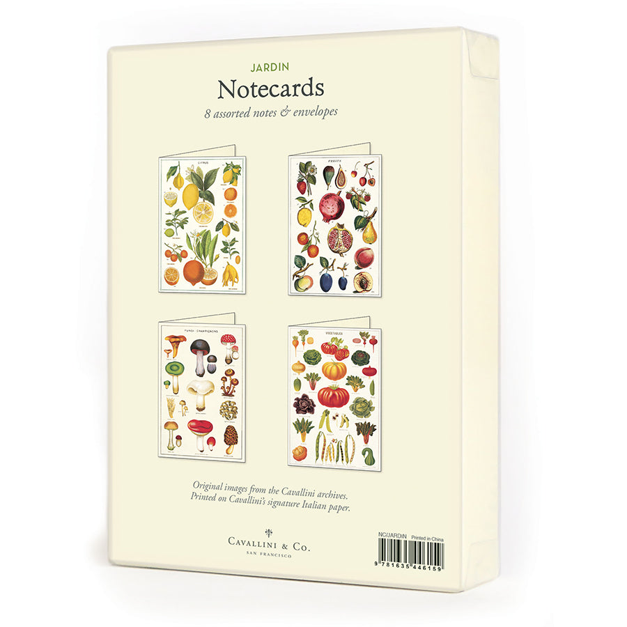 Cavallini Boxed Note Cards