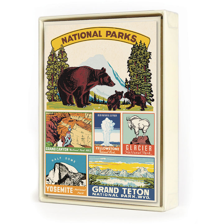 Cavallini Boxed Note Cards