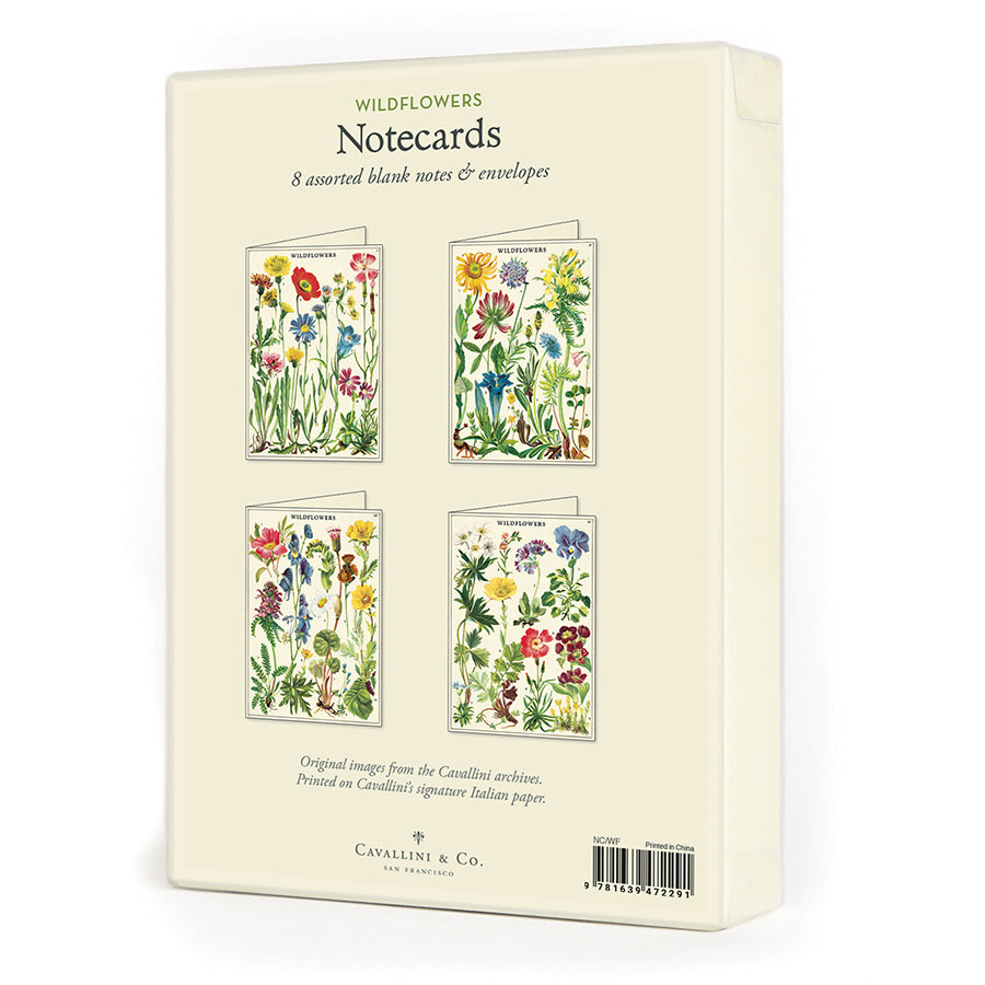 Cavallini Boxed Note Cards