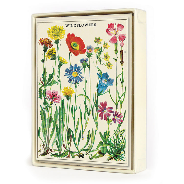 Cavallini Boxed Note Cards